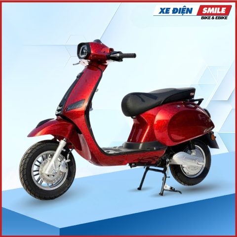 Xe Điện Takashi Crown