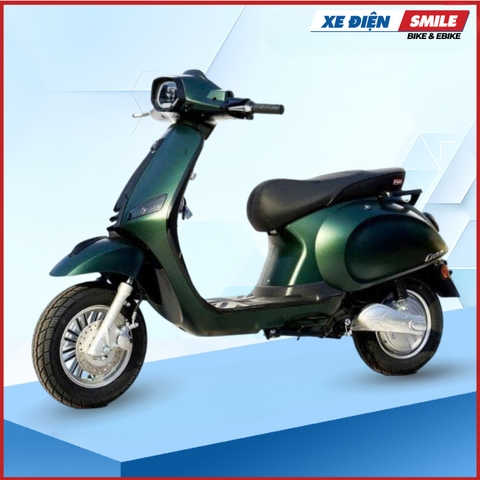 Xe Điện Takashi Crown