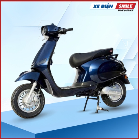 Xe Điện Takashi Crown