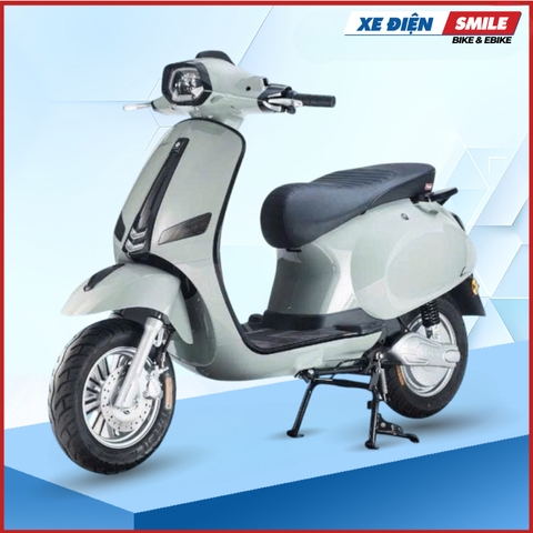 Xe Điện Takashi Crown