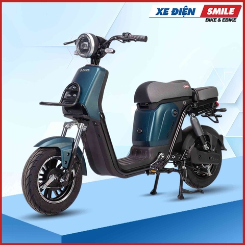 Xe Điện Takashi Figo