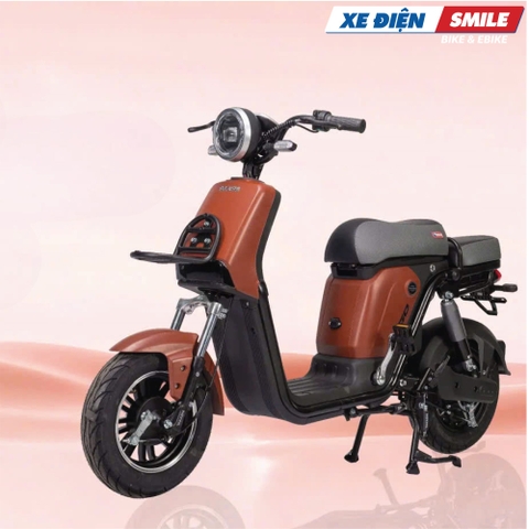 Xe Điện Takashi Figo
