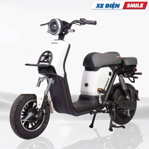 Xe Điện Takashi Figo