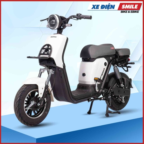 Xe Điện Takashi Figo