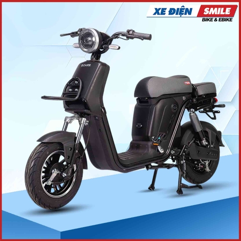 Xe Điện Takashi Figo