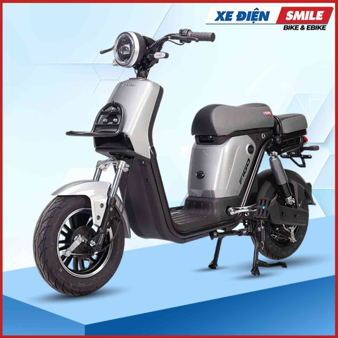 Xe Điện Takashi Figo