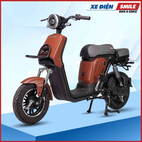 Xe Điện Takashi Figo