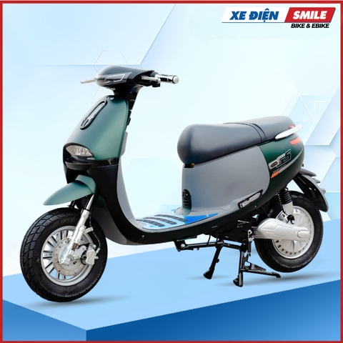 Xe điện Takashi Go2