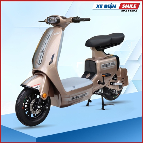 Xe Điện Takashi Money nâu titan