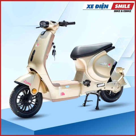 Xe Điện Takashi Mono màu vàng cát