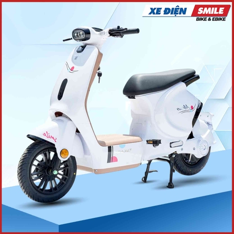 Xe Điện Takashi Mono màu trắng nâu