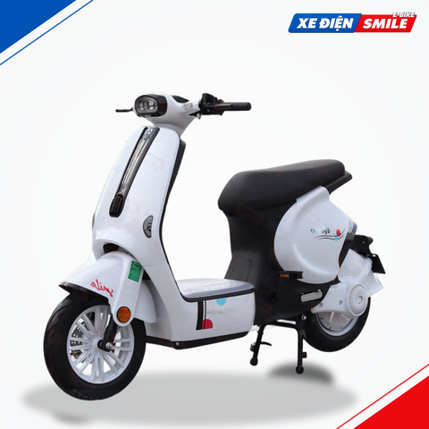 Xe Điện Takashi Mono Plus (60V-23Ah) 5 Bình
