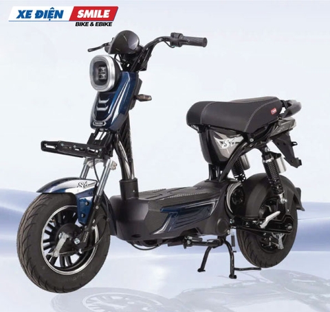 Xe Điện Takashi S8