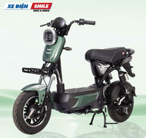 Xe Điện Takashi S8