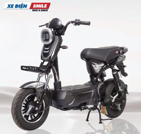Xe Điện Takashi S8
