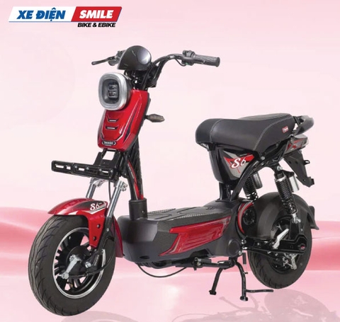 Xe Điện Takashi S8