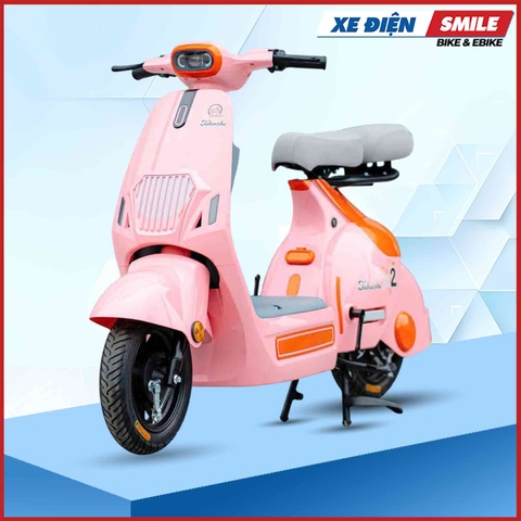 xe điện takashi x2