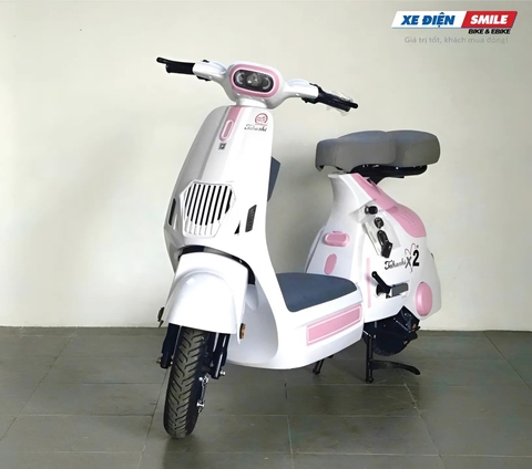 mua xe điện takashi x2