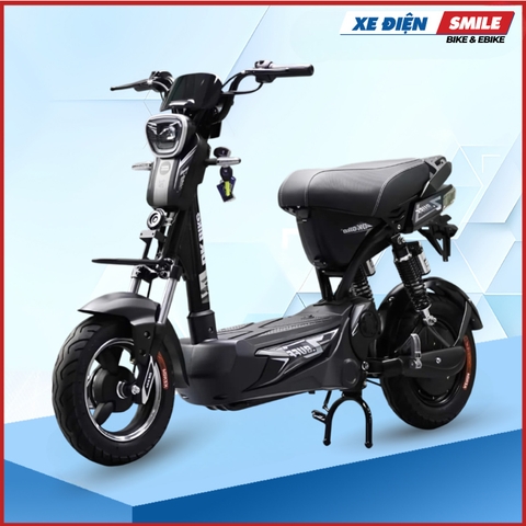 Xe Đạp Điện DK Z Buff đen tem bạc