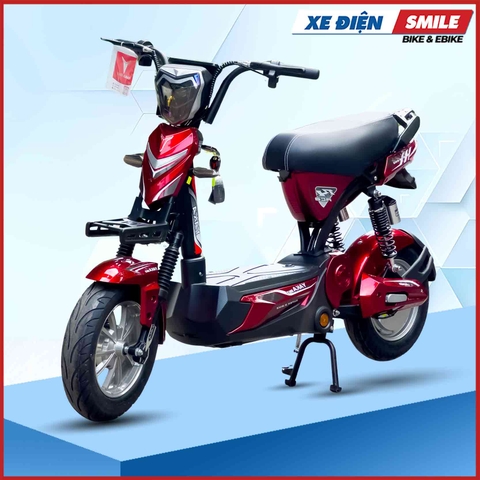 Xe Máy Điện Yaka R1