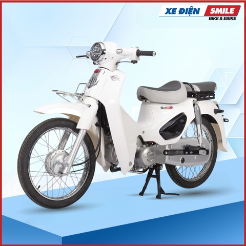 Xe Số 50CC Daelim C6 Plus