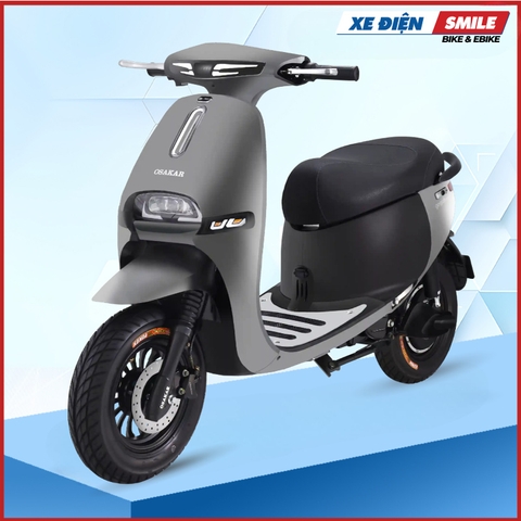 Xe Máy Điện GOGO FIONA