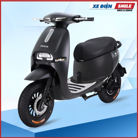 Xe Máy Điện GOGO FIONA