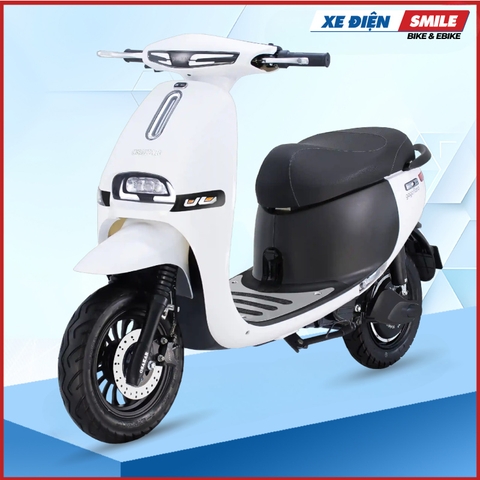 Xe Máy Điện GOGO FIONA
