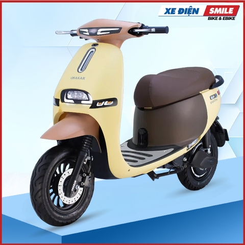 Xe Máy Điện GOGO FIONA