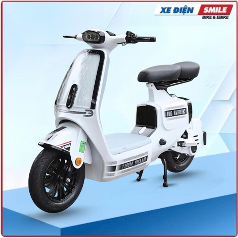 Xe Điện Takashi Money Pro (48V-23Ah) 4 Bình