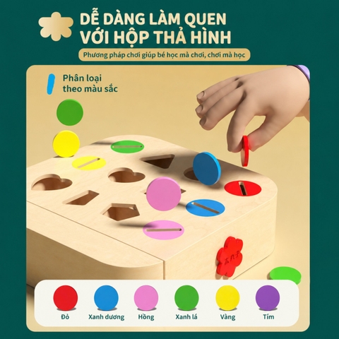Đồ chơi Montessori phân loại hình khối thả xu 12 ô