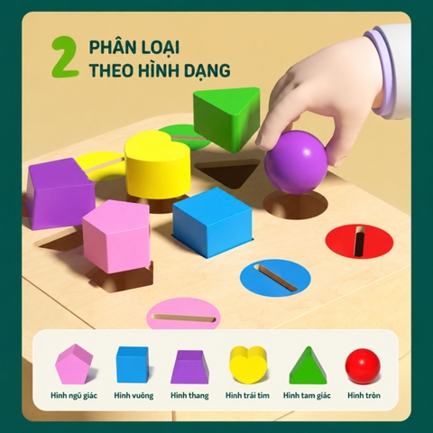 Đồ chơi Montessori phân loại hình khối thả xu 12 ô