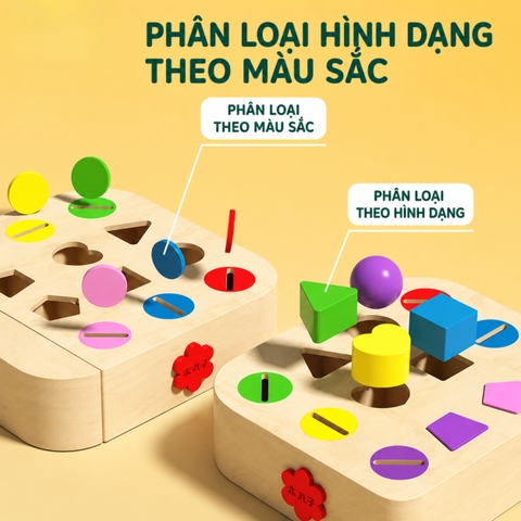Đồ chơi Montessori phân loại hình khối thả xu 12 ô