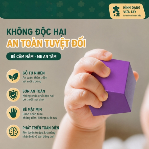 Đồ chơi Montessori phân loại hình khối thả xu 12 ô