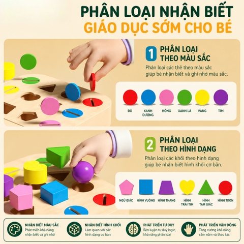 Đồ chơi Montessori phân loại hình khối thả xu 12 ô