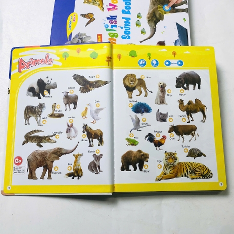 Đồ Chơi Âm Thanh My First English Words Sound Book – 300+ Từ Vựng, 13 Chủ Đề Cho Bé