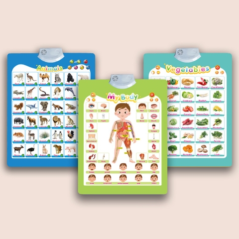 Tranh Treo Tường Có Âm Thanh Cho Bé – Poster Phát Âm Tiếng Anh Nhiều Chủ Đề