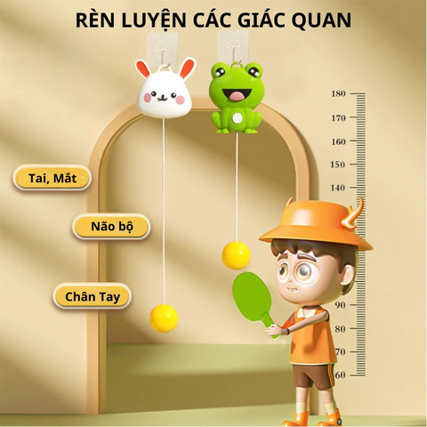 Bộ Bóng Bàn Treo Tường Cho Bé Hình Ếch – Đồ Chơi Rèn Luyện Phản Xạ Và Vận Động