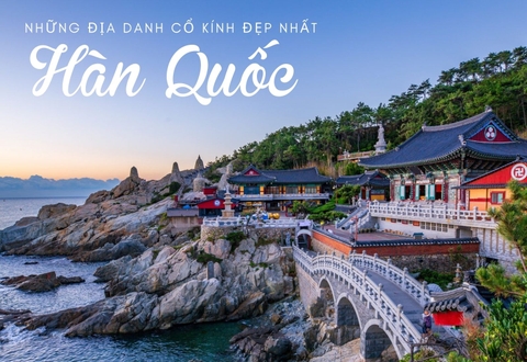 Top Công Ty Tổ Chức Tour Hàn Quốc Uy Tín Tại Việt Nam