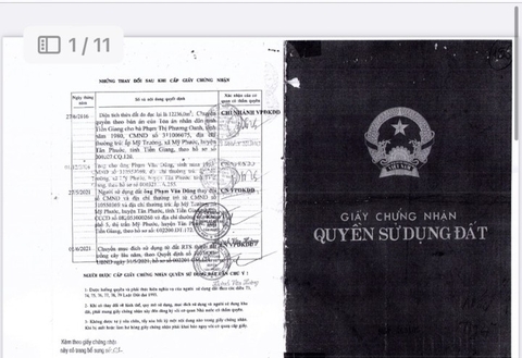 Ms22_Bán đất 13 công khóm tơ đang cho trái | Giá 2ty650 |Khu phố 5,TT Mỹ Phước, Tân Phước, Tiền Giang ☎ 0986709668