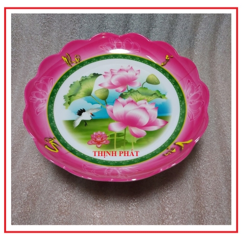 Dĩa chưng trái cây - chò chưng ngũ quả nhựa melamine đủ size GIAO MÀU NGẪU NHIÊN