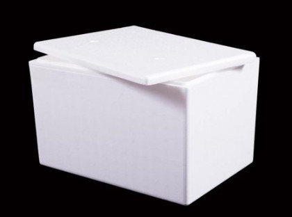 Thùng mút thùng xốp 31 x 22 x 24 cm dùng đóng hàng hóa đựng hải sản hoa quả rau củ trái cây trồng cây
