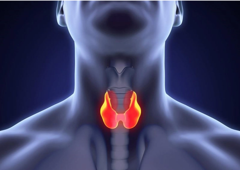 Chỉ với 1 cốc nước, các chuyên gia chỉ bạn cách phát hiện bệnh tuyến giáp ngay tại nhà