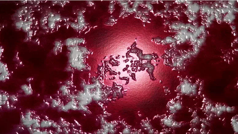 Tìm thấy dạng kháng kháng sinh mới cực kỳ khó phát hiện