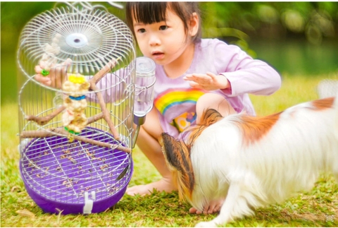 Trải nghiệm cắm trại qua đêm cho bé và sống ảo cho bố mẹ tại Lạng Sơn