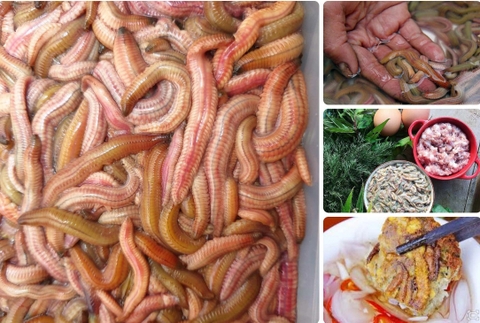 Tết có món rươi, vui tươi hớn hở