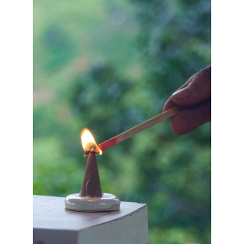 Đế gốm Tịnh Quinta