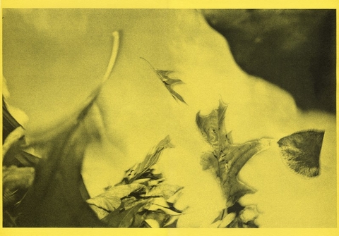 POSTER Lá / W297 x H420 mm / Paper: Malmero Soleil 165gsm / We Do Good