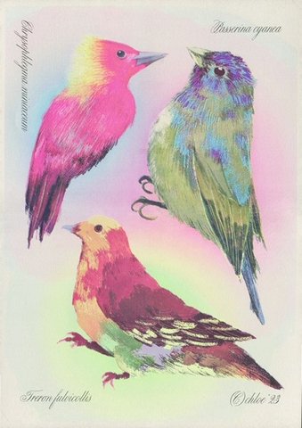 POSTER Ba-ba-birdie W297 x H420mm / Malmero Cendre 165gsm We Do Good