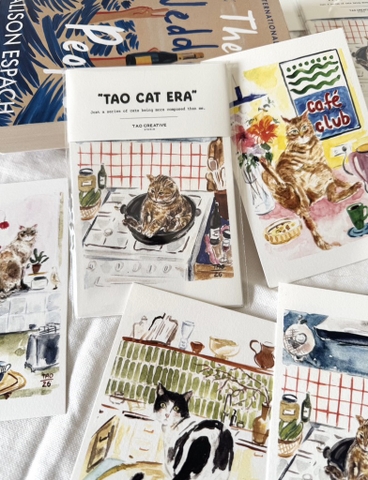 Set 9 Thiệp Mèo Tao